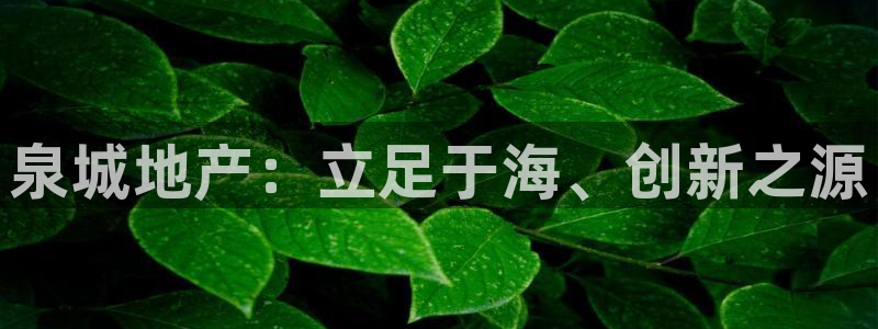 新宝5平台：泉城地产：立足于海、创新之源