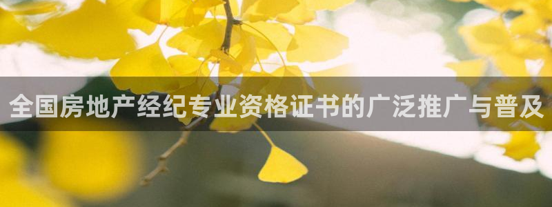 新宝5娱乐注册：全国房地产经纪专业资格证书的广泛推广与普及