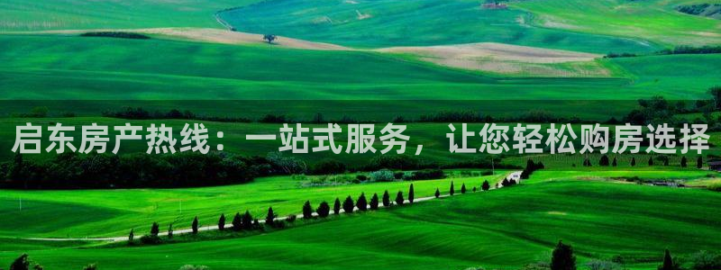 新宝新5：启东房产热线：一站式服务，让您轻松购房选择