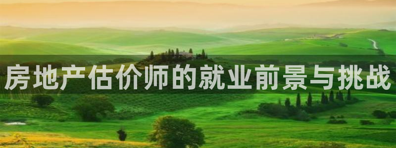新宝5是什么：房地产估价师的就业前景与挑战