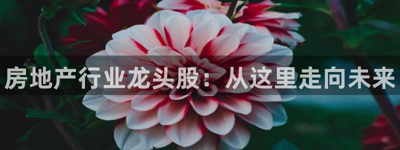 新宝5娱乐如：房地产行业龙头股：从这里走向未来