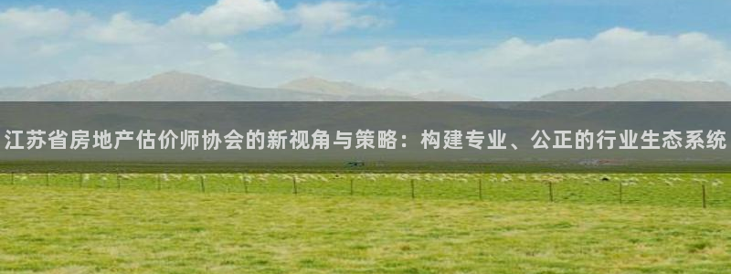 新宝5 测速：江苏省房地产估价师协会的新视角与策略：构建专业