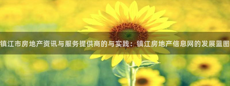 新宝5后：镇江市房地产资讯与服务提供商的与实践：镇江房地产信