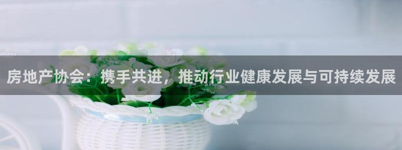 新宝5娱乐手机登录：房地产协会：携手共进，推动行业健康发展与