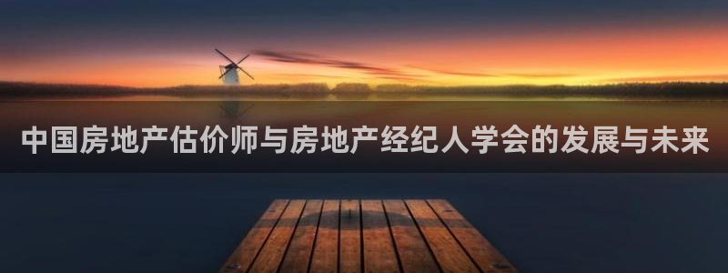 新宝5手机app：中国房地产估价师与房地产经纪人学会的发展与