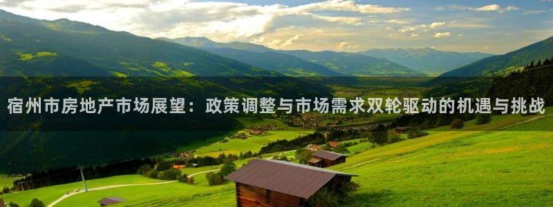 新宝5登陆地址：宿州市房地产市场展望：政策调整与市场需求双轮