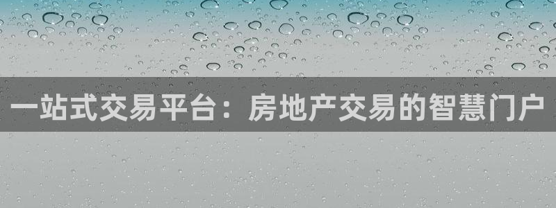 新宝5玩法：一站式交易平台：房地产交易的智慧门户