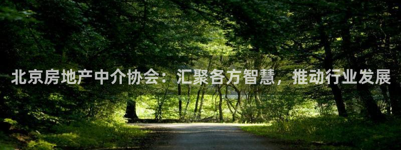 新宝5手机平台登陆：北京房地产中介协会：汇聚各方智慧，推动行