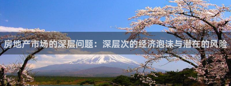 新宝5手机版：房地产市场的深层问题：深层次的经济泡沫与潜在的