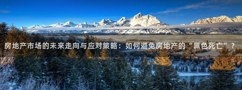 新宝5是谁：房地产市场的未来走向与应对策略：如何避免房地产的