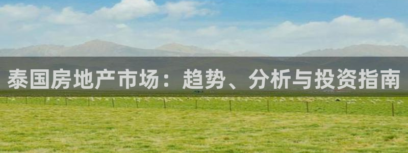 新宝5娱乐没：泰国房地产市场：趋势、分析与投资指南