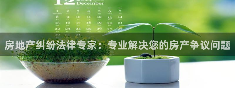 新宝5-：房地产纠纷法律专家：专业解决您的房产争议问题