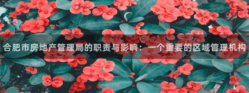 新宝5找找74OOO5：合肥市房地产管理局的职责与影响：一个