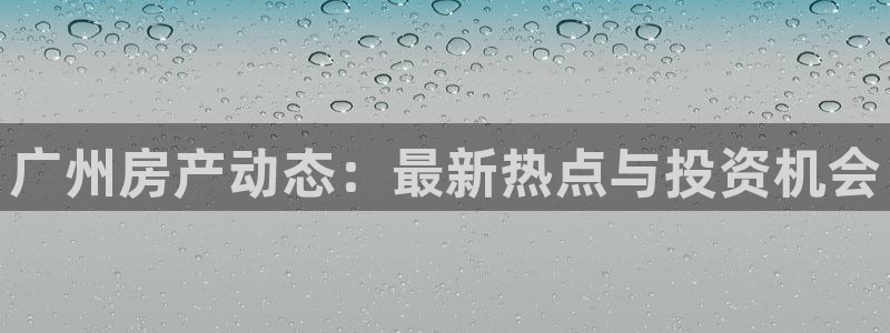 新宝5寻33 300球：广州房产动态：最新热点与投资机会