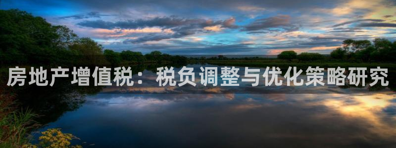 新宝5培训：房地产增值税：税负调整与优化策略研究