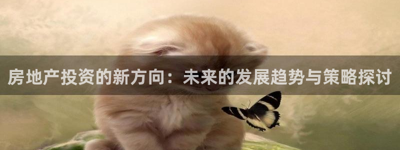 新宝5账号注册：房地产投资的新方向：未来的发展趋势与策略探讨