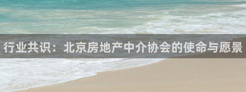 新宝5平台登陆：行业共识：北京房地产中介协会的使命与愿景