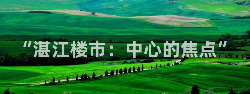 p5r新宝魔：“湛江楼市：中心的焦点”