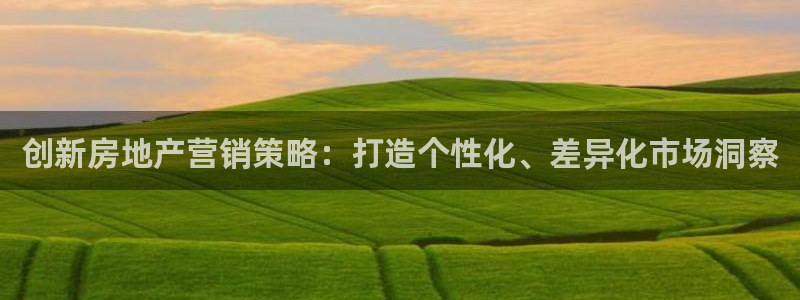 新宝5口67五壹叁八：创新房地产营销策略：打造个性化、差异化