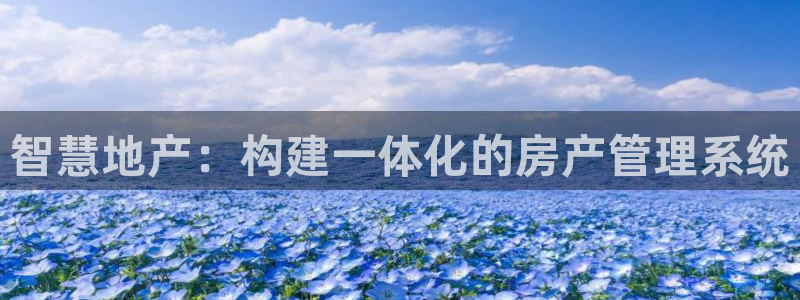 新宝5在哪里：智慧地产：构建一体化的房产管理系统