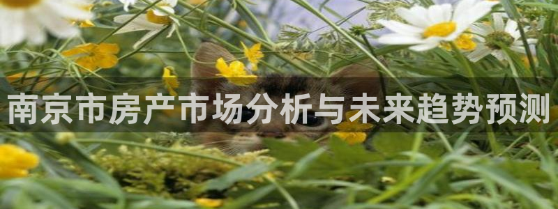新宝5娱乐多：南京市房产市场分析与未来趋势预测