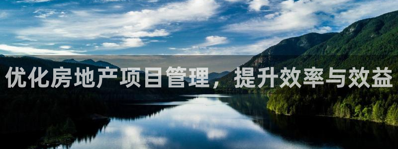 新宝5登录不了：优化房地产项目管理，提升效率与效益