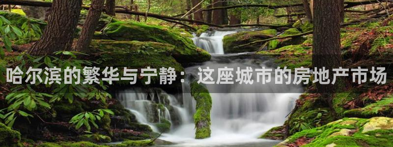 新宝5平台注册资金：哈尔滨的繁华与宁静：这座城市的房地产市场