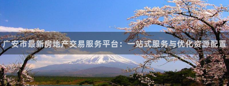 新宝5平台霸：广安市最新房地产交易服务平台：一站式服务与优化