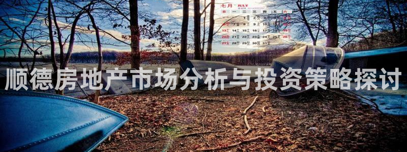 新宝j2O5O5O：顺德房地产市场分析与投资策略探讨