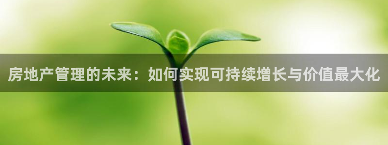 新宝5手机下载：房地产管理的未来：如何实现可持续增长与价值最