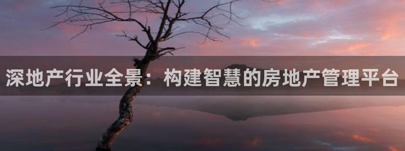 新宝5巅峰：深地产行业全景：构建智慧的房地产管理平台