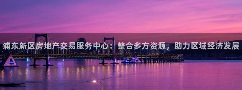 新宝奇迹GG5：浦东新区房地产交易服务中心：整合多方资源，助