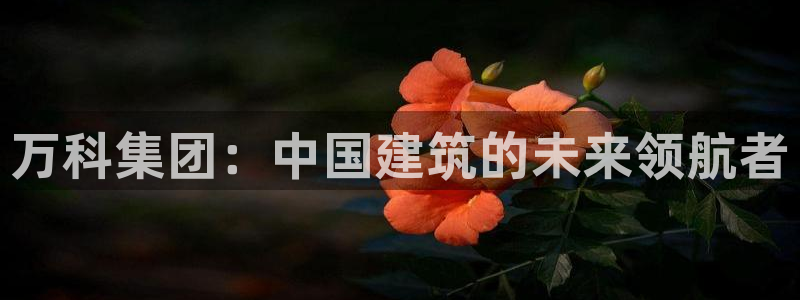 新宝5苹果手机下载：万科集团：中国建筑的未来领航者