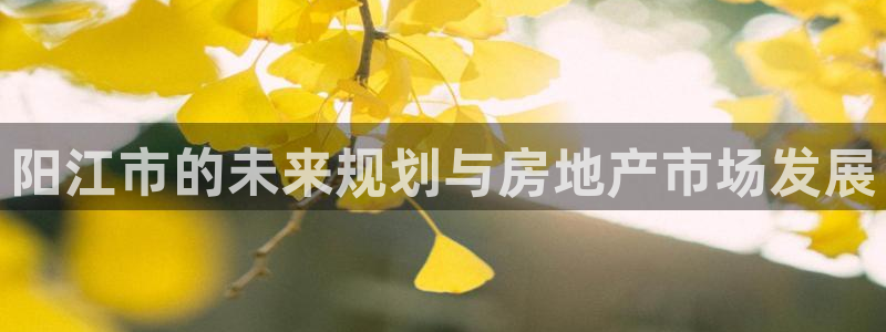新宝5唯一：阳江市的未来规划与房地产市场发展