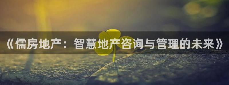 新宝5官方下载地址：《儒房地产：智慧地产咨询与管理的未来》