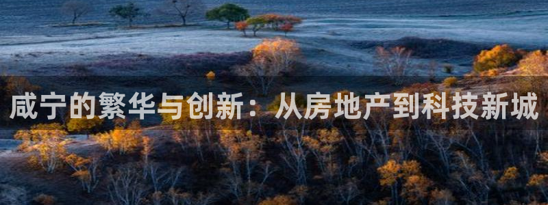 新宝5代理注册：咸宁的繁华与创新：从房地产到科技新城