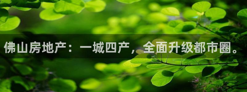新宝5娱乐学：佛山房地产：一城四产，全面升级都市圈。