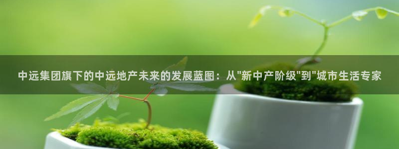 新宝5测速在线：中远集团旗下的中远地产未来的发展蓝图：从\