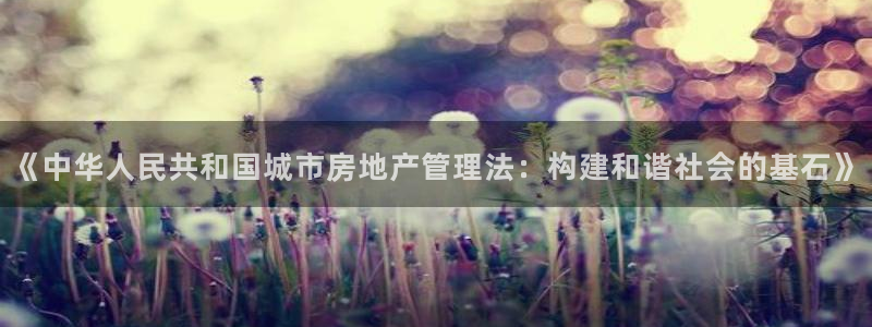 新宝5注册：《中华人民共和国城市房地产管理法：构建和谐社会的