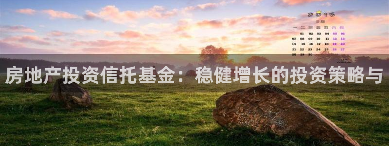 新宝5手机app：房地产投资信托基金：稳健增长的投资策略与