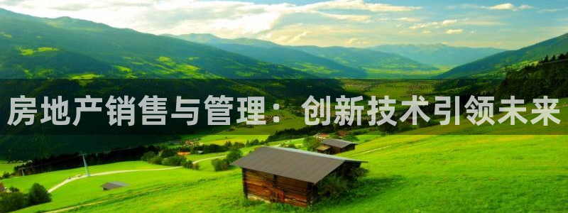 新宝5测速登录：房地产销售与管理：创新技术引领未来