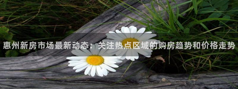 新宝5娱乐注册：惠州新房市场最新动态：关注热点区域的购房趋势