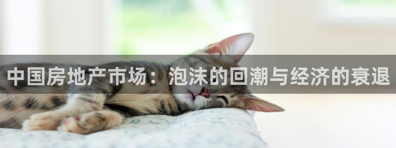新宝奇迹GG5：中国房地产市场：泡沫的回潮与经济的衰退