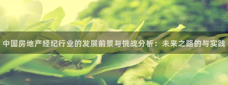 新宝5郑74OOO5：中国房地产经纪行业的发展前景与挑战分析