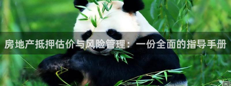 新宝5登录霸：房地产抵押估价与风险管理：一份全面的指导手册