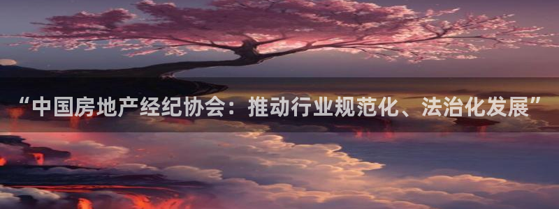 新宝5官网：“中国房地产经纪协会：推动行业规范化、法治化发展