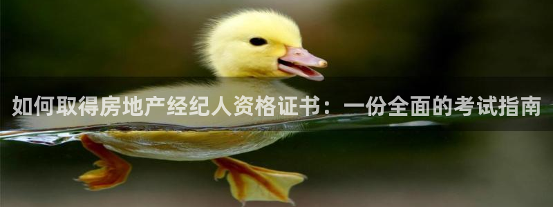 新宝5 测速：如何取得房地产经纪人资格证书：一份全面的考试指
