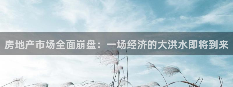 新宝5湫333 00：房地产市场全面崩盘：一场经济的大洪水即