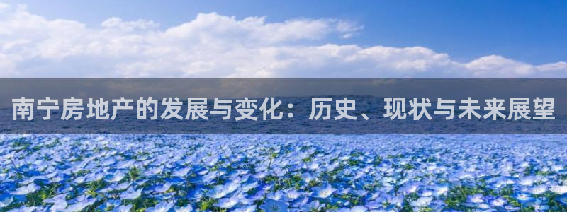 新宝奇迹GG5：南宁房地产的发展与变化：历史、现状与未来展望