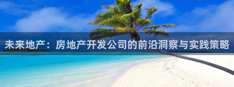 新宝5怎么代理：未来地产：房地产开发公司的前沿洞察与实践策略